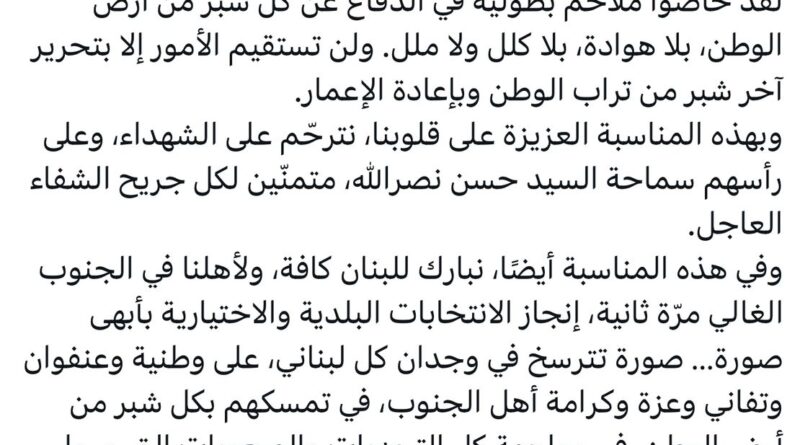 أرسلان: لن تستقيم الأمور إلا بتحرير آخر شبر من تراب الوطن وبإعادة الإعمار